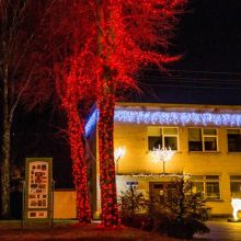 Apdovanojimai Klaipėdos rajone: išrinktos originaliausiai papuoštos lauko erdvės