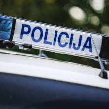 Akibrokštas Vilkaviškio rajone: vyras užmušė šunį