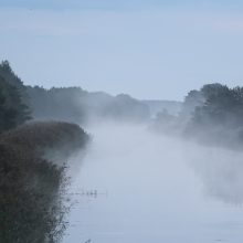 Jurbarko ir Vilkaviškio apylinkėse ištraukti skenduolių kūnai