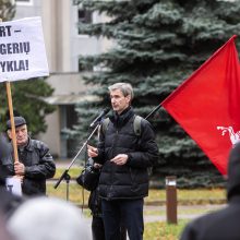 P. Kuzmickienė: A. Paleckio teiginiai apie partizanus menkina Lietuvos valstybingumą