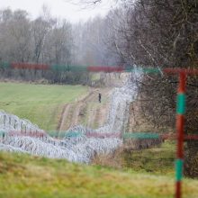 Pasienyje su Baltarusija nefiksuota neteisėtų migrantų