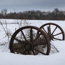 Laukuose Šiaulių rajone rastas vyro lavonas