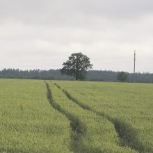 Prasidėjo paraiškų dėl ES paramos skyrimo priėmimas