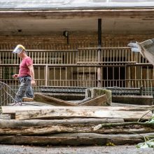 Lietuvos zoologijos sode karaliauja statybų technika: buvę gyvūnų namai virsta griuvėsiais