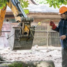 Lietuvos zoologijos sode karaliauja statybų technika: buvę gyvūnų namai virsta griuvėsiais