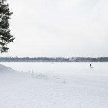 Kauno marių pakrantę nuklojo ledo bokštų skulptūros