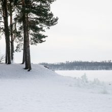 Kauno marių pakrantę nuklojo ledo bokštų skulptūros