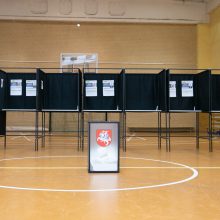 Paaiškėjo antrojo Seimo rinkimų turo rezultatai: kas laimėjo Kaune?