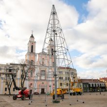 Rotušės aikštėje ryškėja kalėdinės Kauno eglės kontūrai