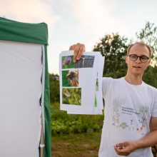 Naktinės drugelių paieškos Šilainiuose