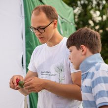 Naktinės drugelių paieškos Šilainiuose