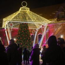 Atskleisti šiųmetės Raudondvario eglutės kodai