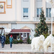 Rotušės aikštėje paskutines dienas skaičiuojanti Kalėdų eglė sulaukė ir kauniečių, ir svečių dėmesio