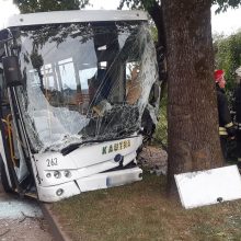 Prienuose į medį rėžėsi autobusas: dėl avarijos kaltas vabzdys? 