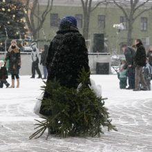 „Kauno švara“: prašome eglutes palikti be plastikinių maišų, vazonų ir kitų šiukšlių!