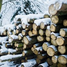 S. Gentvilas su miškų savininkais sutarė dėl pagalbos vykdant „Natura 2000“ reikalavimus