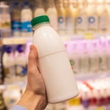 Premjerė: pieno supirkimo kainos negrįš į 2022 metų lygį