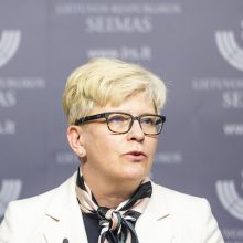 Premjerė: biudžeto deficitas 2024-aisiais augs, bet atitiks europines taisykles