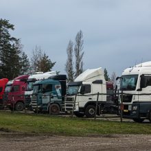 Naujo TTLA valdybos pirmininke perrinkta „Hoptrans“ atstovė A. Margevičiūtė