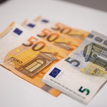 G. Šimkus skeptiškai vertina siūlymą pratęsti PVM lengvatą verslui