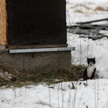 Ugniagesiai: per dvi paras gaisruose žuvo keturi žmonės