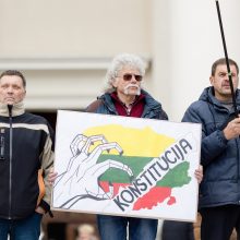 Seimo vadovė: mitingo dalyvių skaičius rodo, kad šeimų maršo darbotvarkė išsikvepia 