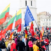 Seimo vadovė: mitingo dalyvių skaičius rodo, kad šeimų maršo darbotvarkė išsikvepia 