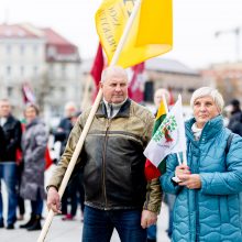 Seimo vadovė: mitingo dalyvių skaičius rodo, kad šeimų maršo darbotvarkė išsikvepia 