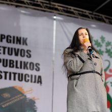 Seimo vadovė: mitingo dalyvių skaičius rodo, kad šeimų maršo darbotvarkė išsikvepia 