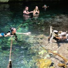 Gudruoliai: išmanieji senoto Gran Cenote vėžliukai deginasi tik savo teritorijoje – pas plaukikus nelenda. 