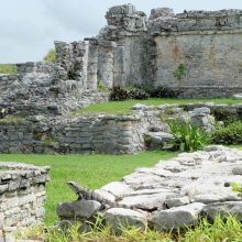Įžymybės: senovės majų griuvėsius apgulusios iguanos tingiai kaitinasi prieš saulę ir visai nekreipia dėmesio į fotoaparatais spragsinčius turistus.