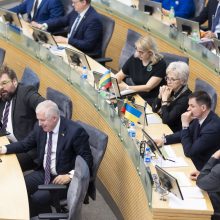 Seimo diskusija apie Civilinės sąjungos įstatymą: dešimt citatų