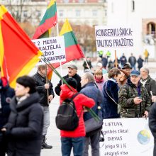 Šeimų sąjūdžio mitinge išvengta konflikto: pareigūnai oponentų prašė išvykti