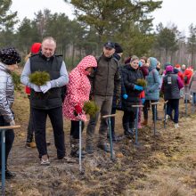 Unikali iniciatyva – bendruomenės eidamos užaugino 35 tūkst. tikrų medžių