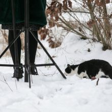 Ugniagesiai: per dvi paras gaisruose žuvo keturi žmonės