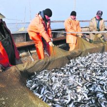 Žvejybos verslo naikinimas sulaukė ir abejonių