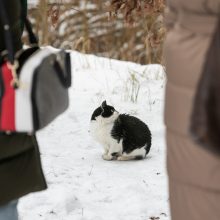 Ugniagesiai: per dvi paras gaisruose žuvo keturi žmonės