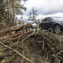 Ugniagesiai jau gavo apie 30 pranešimų apie nuvirtusius medžius