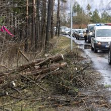 Siaučiant vėjui ugniagesiai dirbo be pertraukos, sulaukė 250 iškvietimų