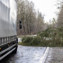 Siaučiant vėjui ugniagesiai dirbo be pertraukos, sulaukė 250 iškvietimų