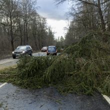 Ugniagesiai jau gavo apie 30 pranešimų apie nuvirtusius medžius