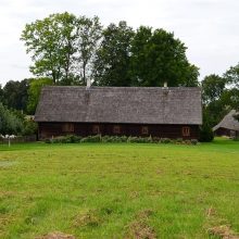 J. Basanavičiaus gimtinėje augantis kaštonas išrinktas metų medžiu