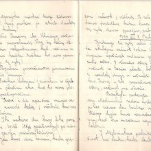 Ištrauka: 1939 m. kurto D. Sruogaitės rašinio fragmentas.