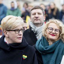 V. Čmilytė-Nielsen  apie santykius Seime: politika nėra gerų mergaičių pensionas