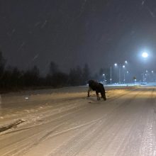 Internautai juokauja: išaiškintas slidžių kelių Lietuvoje tikrasis kaltininkas