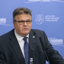 Prezidentas: buvęs ministras L. Linkevičius pakankamai „atšalo“, kad vadovautų ambasadai 