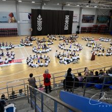 Garliavoje vijurkiškai įsisuko šventė „Šokio ritmu“