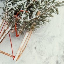 Paupio rajonas pasipuošė Kalėdoms – čia apsigyveno įspūdingi sniego žmonės