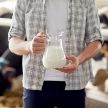 K. Navickas: savitarpio pagalbos fondas padėtų pieno gamintojams jaustis saugiau
