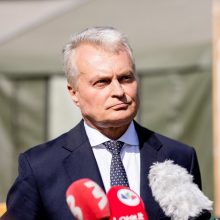 Prezidentas: premjerė turi laiko iki NATO susitikimo apsispręsti dėl ministrų atsakomybės